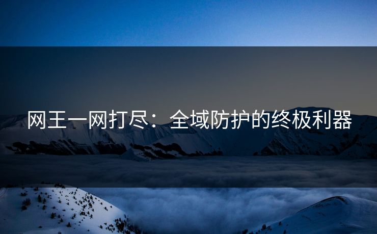 网王一网打尽：全域防护的终极利器