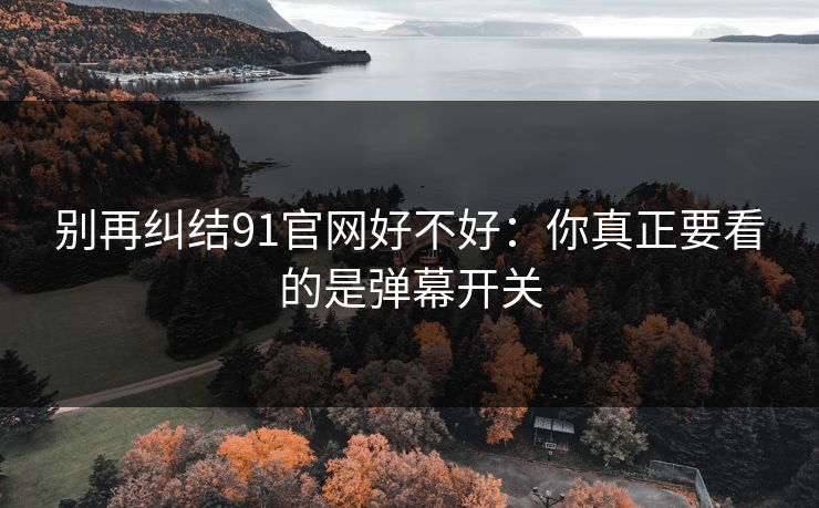 别再纠结91官网好不好：你真正要看的是弹幕开关
